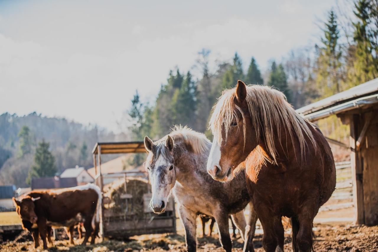 Farm Stay Zurej Sentjur Ngoại thất bức ảnh